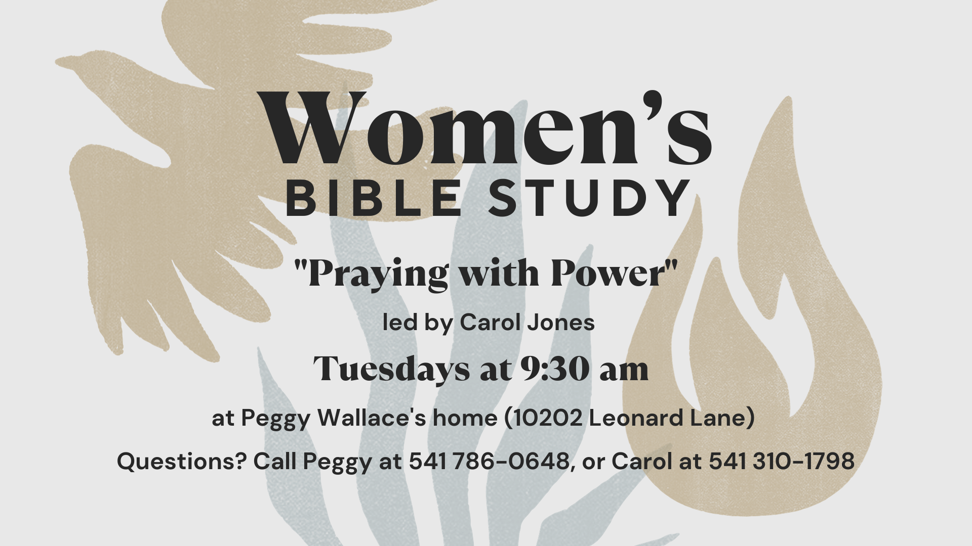 women's bible study fall 23